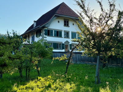 öffentliche Führung