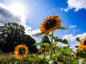 Öffnungszeiten während den Sommerferien