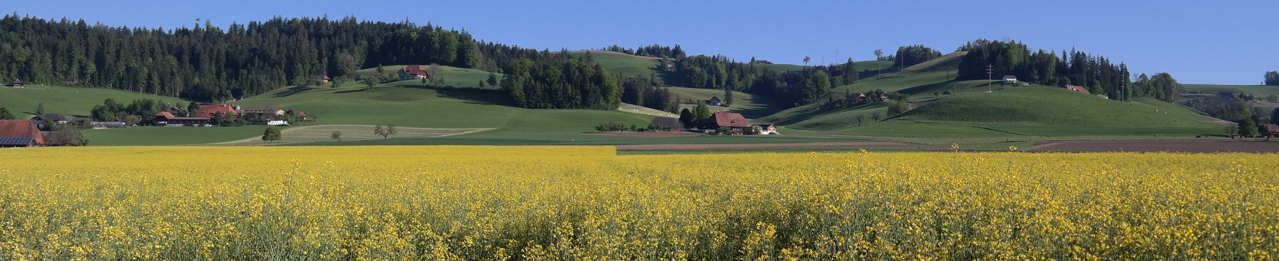 «Am Fluss vor Zyt»