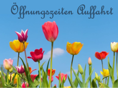 Öffnungszeiten Auffahrt