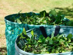 Grünsammelstelle Lützelflüh